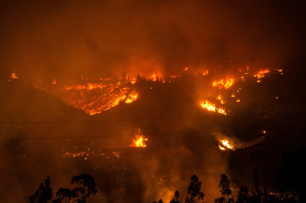 O Pior Incêndio Florestal da História do Chile e Efeito no Preço da Celulose Fluff