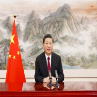 Xi pede medidas conjuntas para recuperação e estabilidade financeira