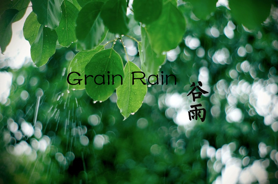 Culture Insider: Cinco coisas que você talvez não saiba sobre Grain Rain