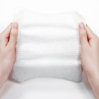 Saiba mais sobre lenços umedecidos (4)